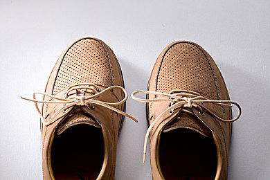 《宝可梦：朱＆紫》幽灵宝可梦“墓仔狗”介绍视频